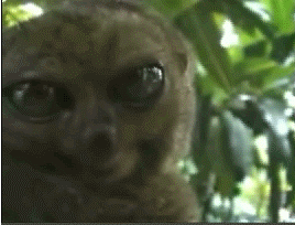 размер 268x204, 989.25 kb размер 268x204, 989.25 kb