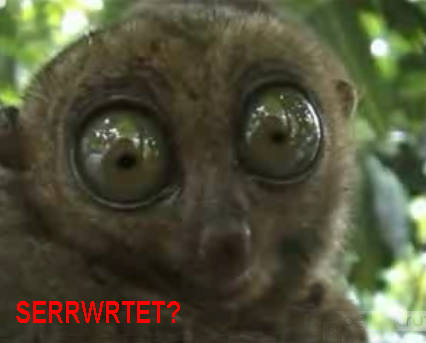 размер 426x343, 91.18 kb размер 426x343, 91.18 kb