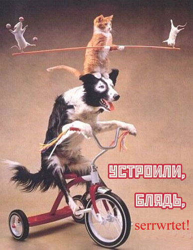 размер 387x500, 78.50 kb размер 387x500, 78.50 kb