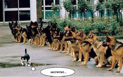 размер 500x314, 172.61 kb размер 500x314, 172.61 kb