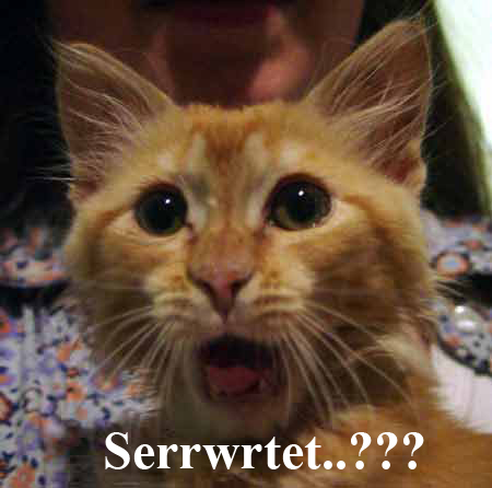 размер 450x446, 72.43 kb размер 450x446, 72.43 kb