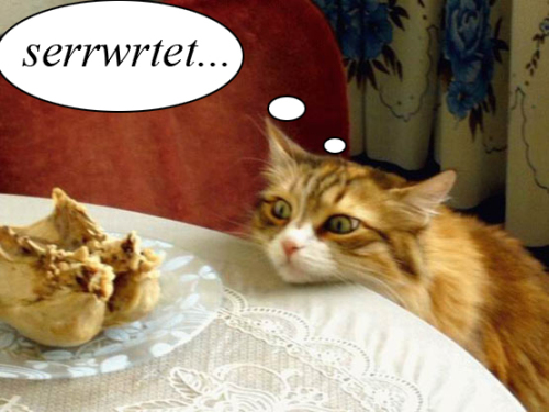 размер 500x375, 141.73 kb размер 500x375, 141.73 kb