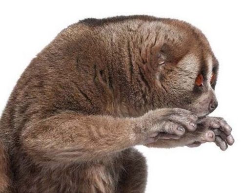 размер 500x395, 38.85 kb размер 500x395, 38.85 kb