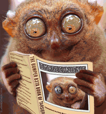 размер 340x367, 423.75 kb размер 340x367, 423.75 kb