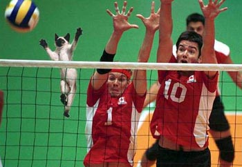 размер 350x242, 20.53 kb размер 350x242, 20.53 kb